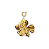Hanger Blossom Flower